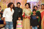 Amala Paul and Director Vijay Wedding Reception