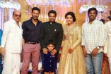 Amala Paul and Director Vijay Wedding Reception
