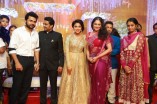 Amala Paul and Director Vijay Wedding Reception
