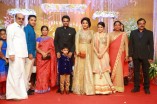 Amala Paul and Director Vijay Wedding Reception
