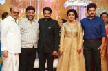 Amala Paul and Director Vijay Wedding Reception