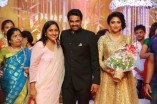 Amala Paul and Director Vijay Wedding Reception