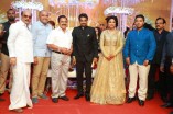 Amala Paul and Director Vijay Wedding Reception