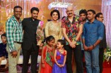 Amala Paul and Director Vijay Wedding Reception