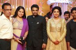 Amala Paul and Director Vijay Wedding Reception