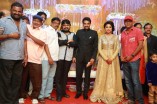 Amala Paul and Director Vijay Wedding Reception