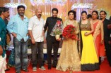 Amala Paul and Director Vijay Wedding Reception