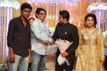 Amala Paul and Director Vijay Wedding Reception