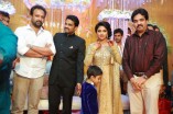 Amala Paul and Director Vijay Wedding Reception