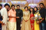 Amala Paul and Director Vijay Wedding Reception