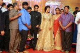 Amala Paul and Director Vijay Wedding Reception