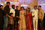 Amala Paul and Director Vijay Wedding Reception