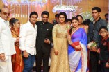 Amala Paul and Director Vijay Wedding Reception