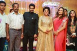 Amala Paul and Director Vijay Wedding Reception