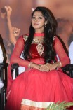 Angusam Audio Launch 