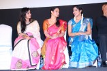 Appuchi Gramam Audio Launch