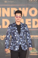 Behindwoods Gold Medals 2017 - The Red Carpet Set 3