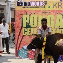 Behindwoods Pongal Celebration 