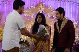 BHARATH AND JESHLY WEDDING RECEPTION SET 2