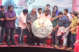 Dharani Audio Launch