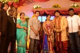 Diamond Babu Son Wedding Reception