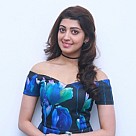 Enakku Vaaitha Adimaigal Press Meet