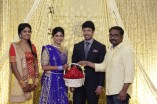 Feroz - Vijayalakshmi Wedding Reception