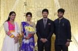 Feroz - Vijayalakshmi Wedding Reception