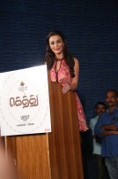 Gethu Audio Launch