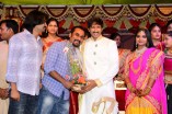 Gopichand Reshma Wedding Reception