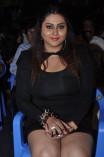 Gugan Audio Launch