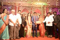 H.vasanth kumar son Marriage Reception