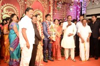 H.vasanth kumar son Marriage Reception