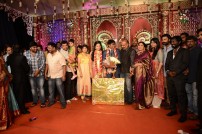 H.vasanth kumar son Marriage Reception