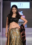 Hyderabad International Fashion Week