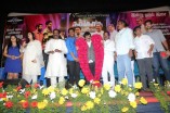Kangaroo Audio Launch