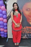 Kerala Nattilam Pengaludane Audio Launch