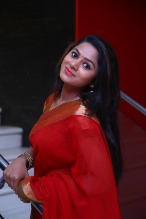 Kurangu Bommai Audio Launch