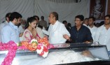 Last Respects to ANR Set 2