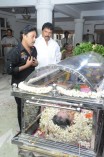 Last Respects to Manjula Vijayakumar Day 2
