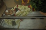 Last Respects to TK Ramamurthy