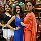 launch of 24kt Gold Foil Windows