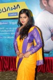 Mannipaaya Movie Launch