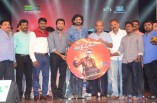 Masss Telugu Audio Launch