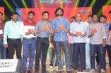 Masss Telugu Audio Launch