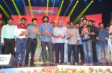 Masss Telugu Audio Launch