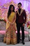 Mr and Mrs Bharath at Their Wedding Reception