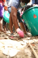 Nadigar Sangam Cleans Chennai