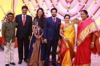 Nakul - Sruti Wedding Reception 