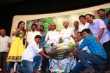 Nanaiyaatha Mazhaiye Audio Launch